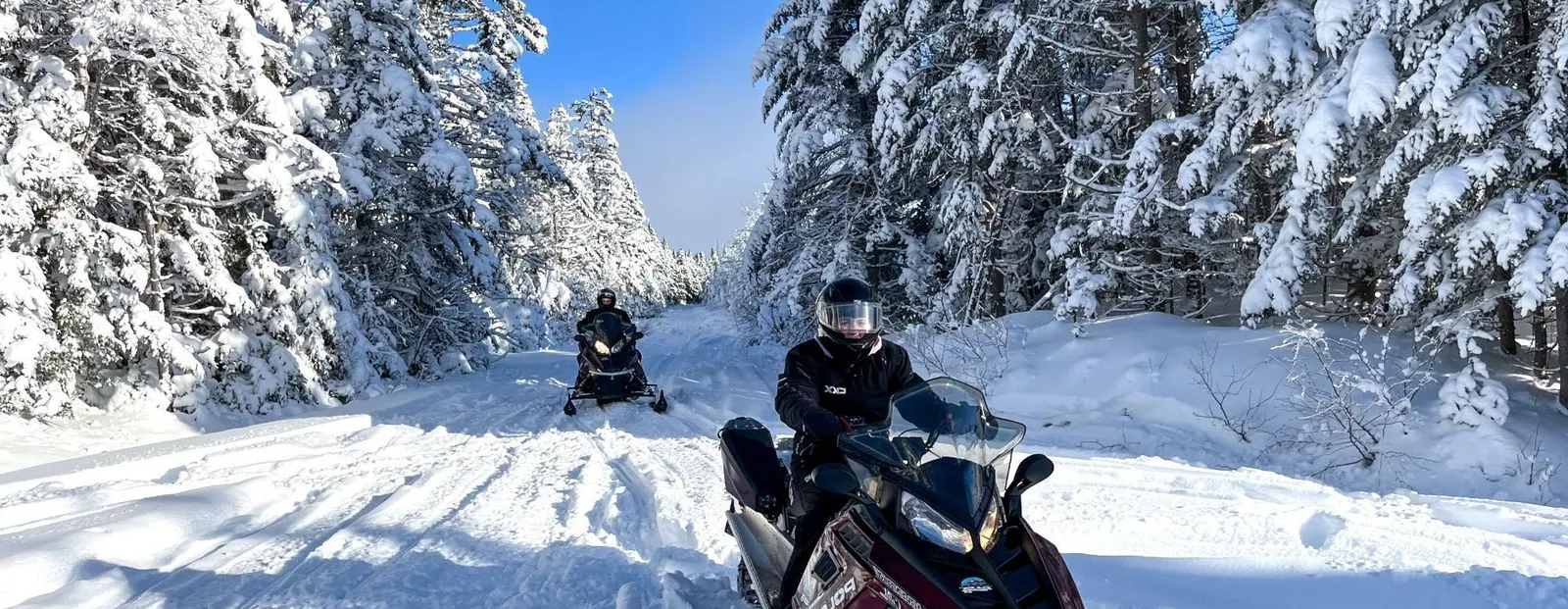 Two snowmobilers riding a snowy forest trail between frosted spruce trees