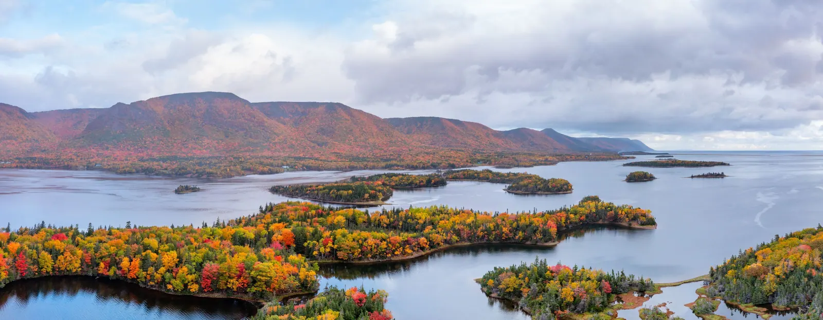 Autumn forest on the islands and inlets below the Cape Breton Highlands