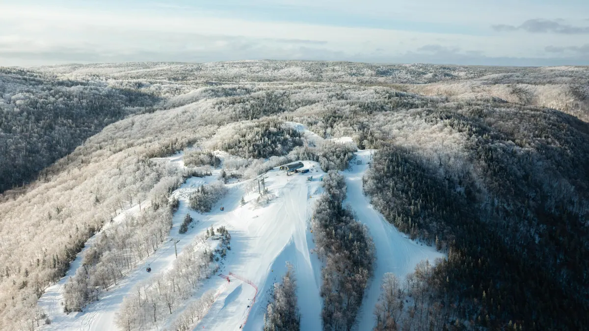 Aerial view of snowy ski runs cut through frosted forest on Cape Smokey