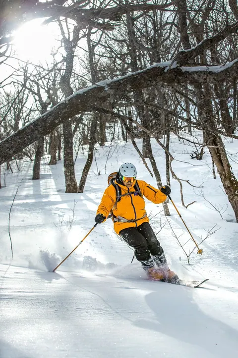 Skier in a yellow jacket in deep snow between trees