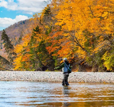 Angler fly fishing in a river beneath autumn trees