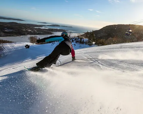 Skier carving a turn on a groomed slope above the coast