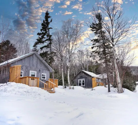 Wooden cottages among snowy birch trees at Trailside