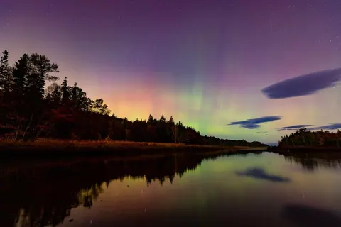 Green and pink northern lights above a forested lake