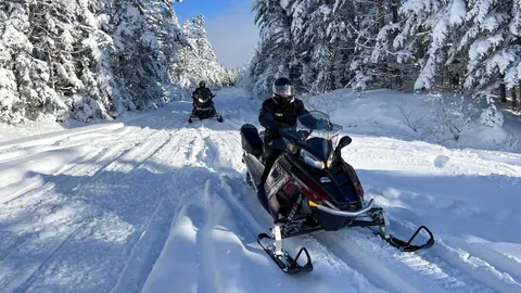 Two snowmobilers on a snowy forest trail
