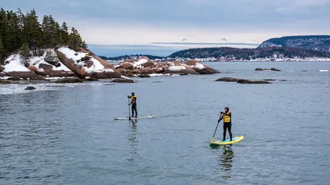 Paddle boarders on calm water near a rocky shore