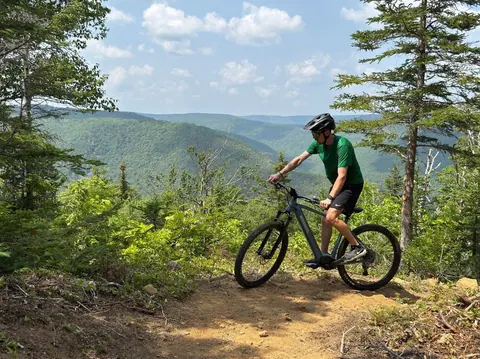 Mountain biker on a forest trail above a green valley