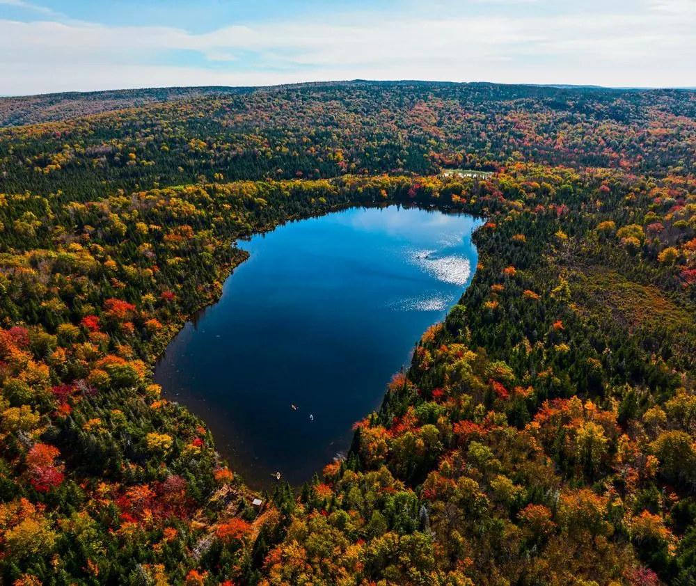 Aerial view of a lake surrounded by autumn forest