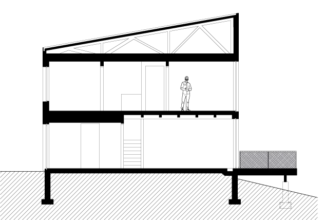 Longitudinal section drawing showing the sloping roof, two levels and the terrace