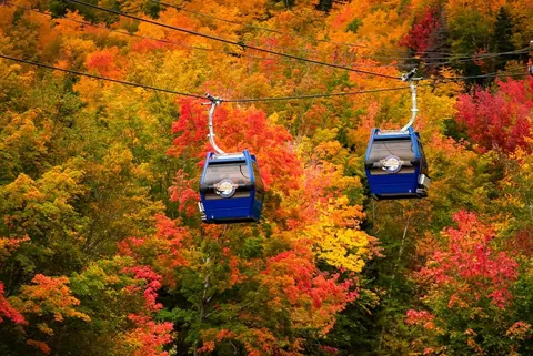 Atlantic Gondola cabins gliding above bright red and orange autumn forest