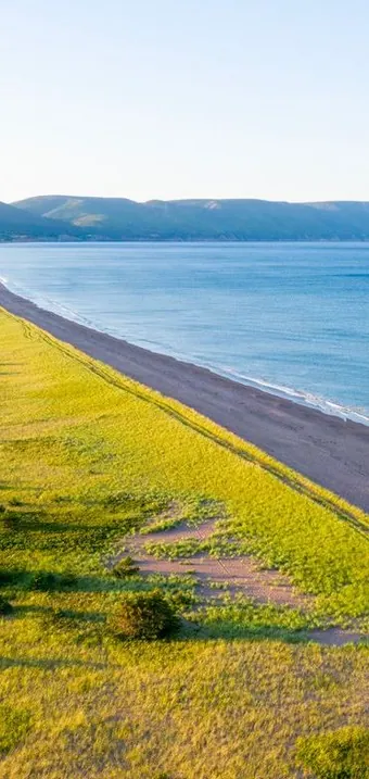 Aerial view of a long sandy beach between the ocean and green dunes
