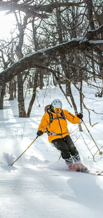 Skier in a yellow jacket skiing powder between bare trees