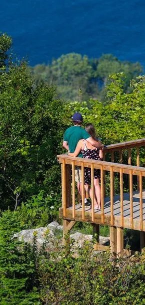 Wooden lookout deck among birch trees above the blue ocean