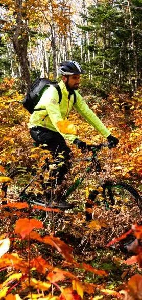 Mountain biker riding through bright autumn forest