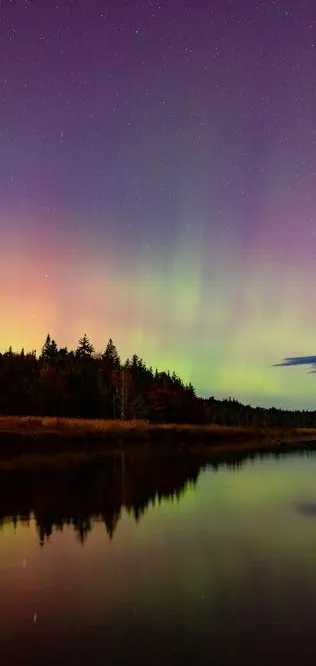 Northern lights glowing over a still river lined with dark spruce trees