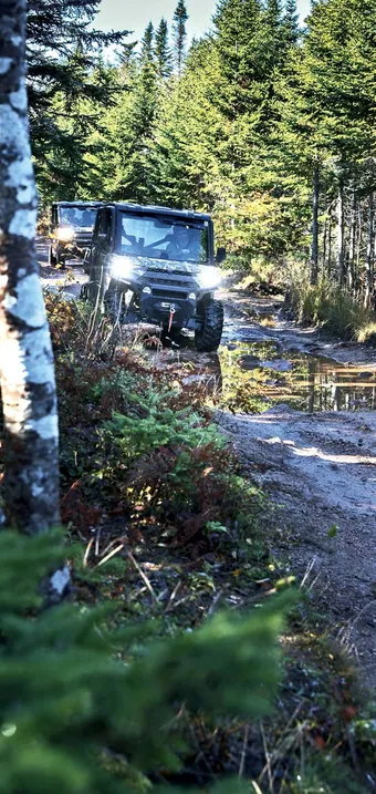 Side-by-side ATV with headlights on, driving a forest trail between birch trees