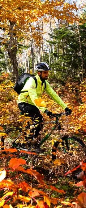 Mountain biker riding through bright autumn forest