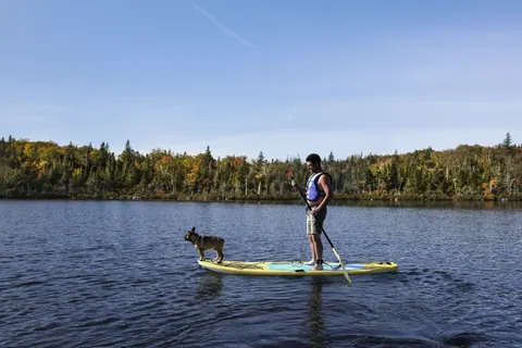 Paddle boarder with a dog on a calm lake lined with autumn trees