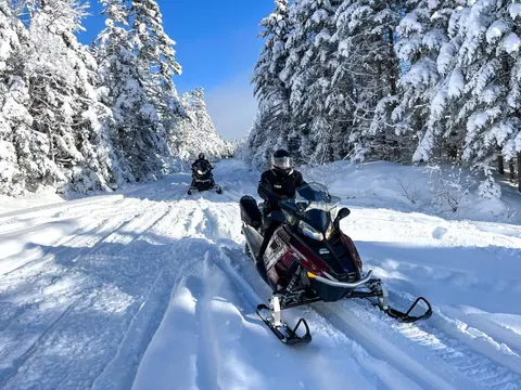 Snowmobile riders on a snowy forest trail