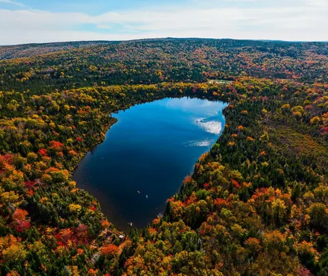 Aerial view of a lake surrounded by autumn forest