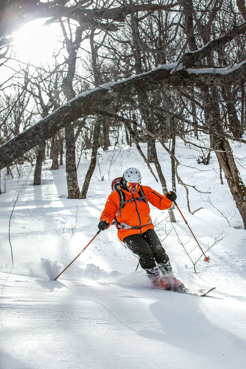 Skier in an orange jacket skiing through snowy hardwood forest