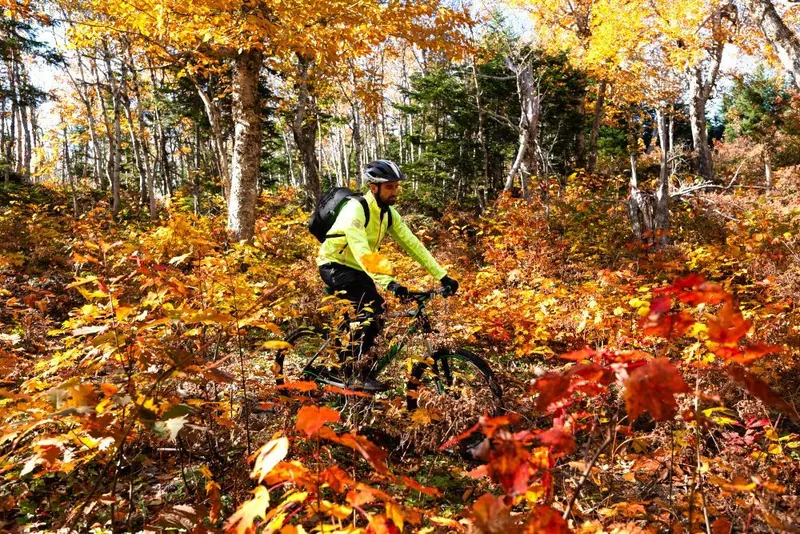 Mountain biker riding through bright autumn forest