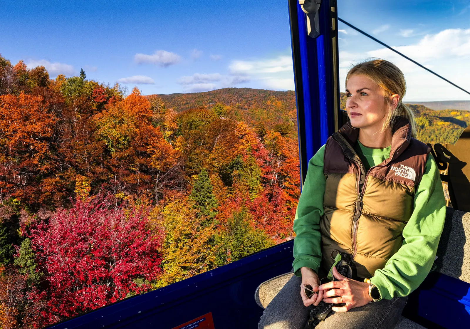 Visitor in a gondola cabin looking out over red and orange autumn forest