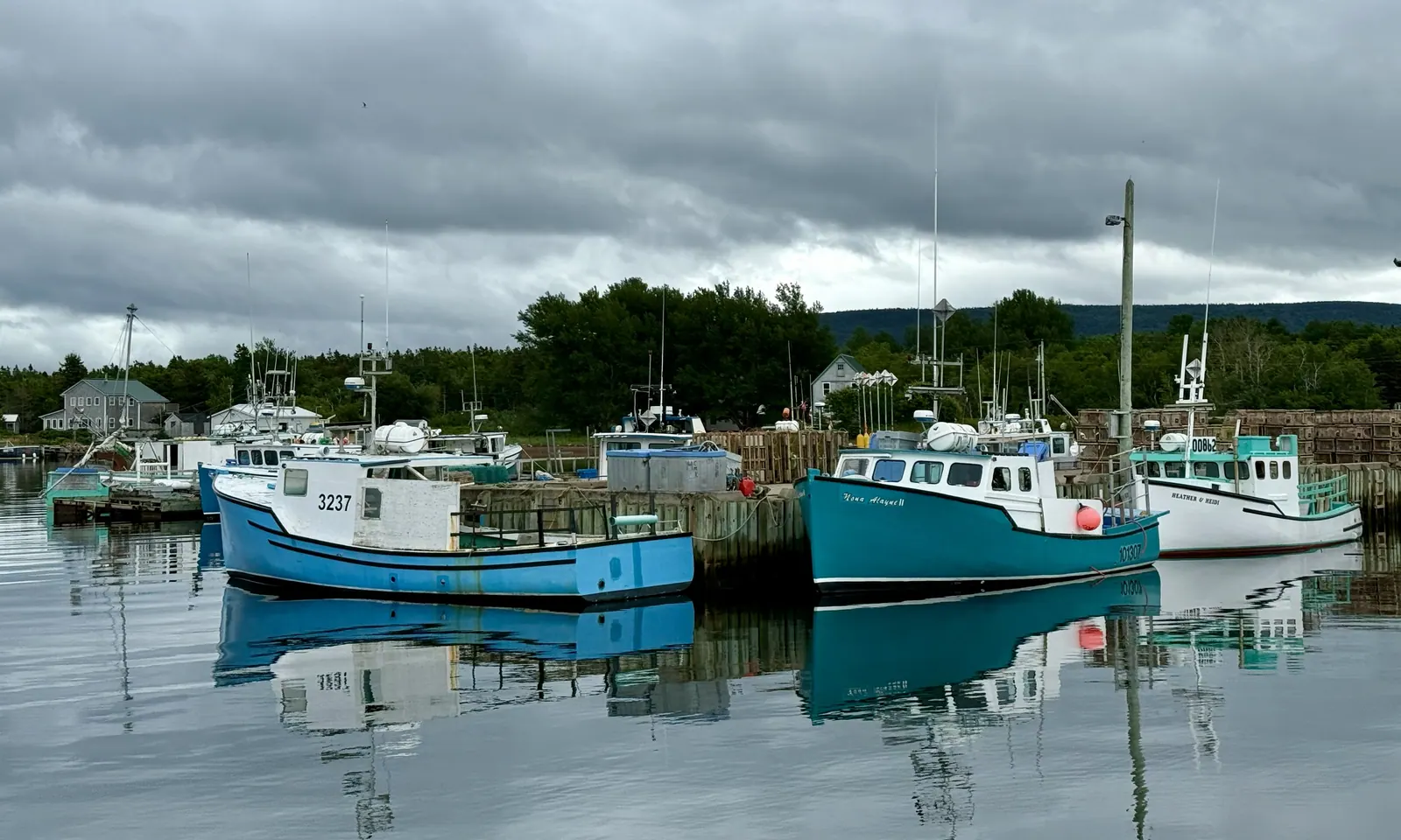 Dingwall Aspy Bay