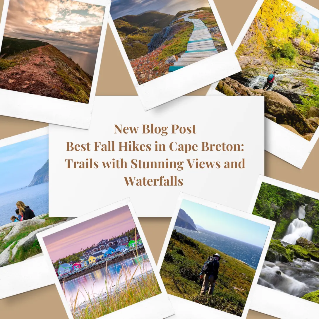 Best Fall Hikes in Cape Breton: Trails with Stunning Views and Waterfalls