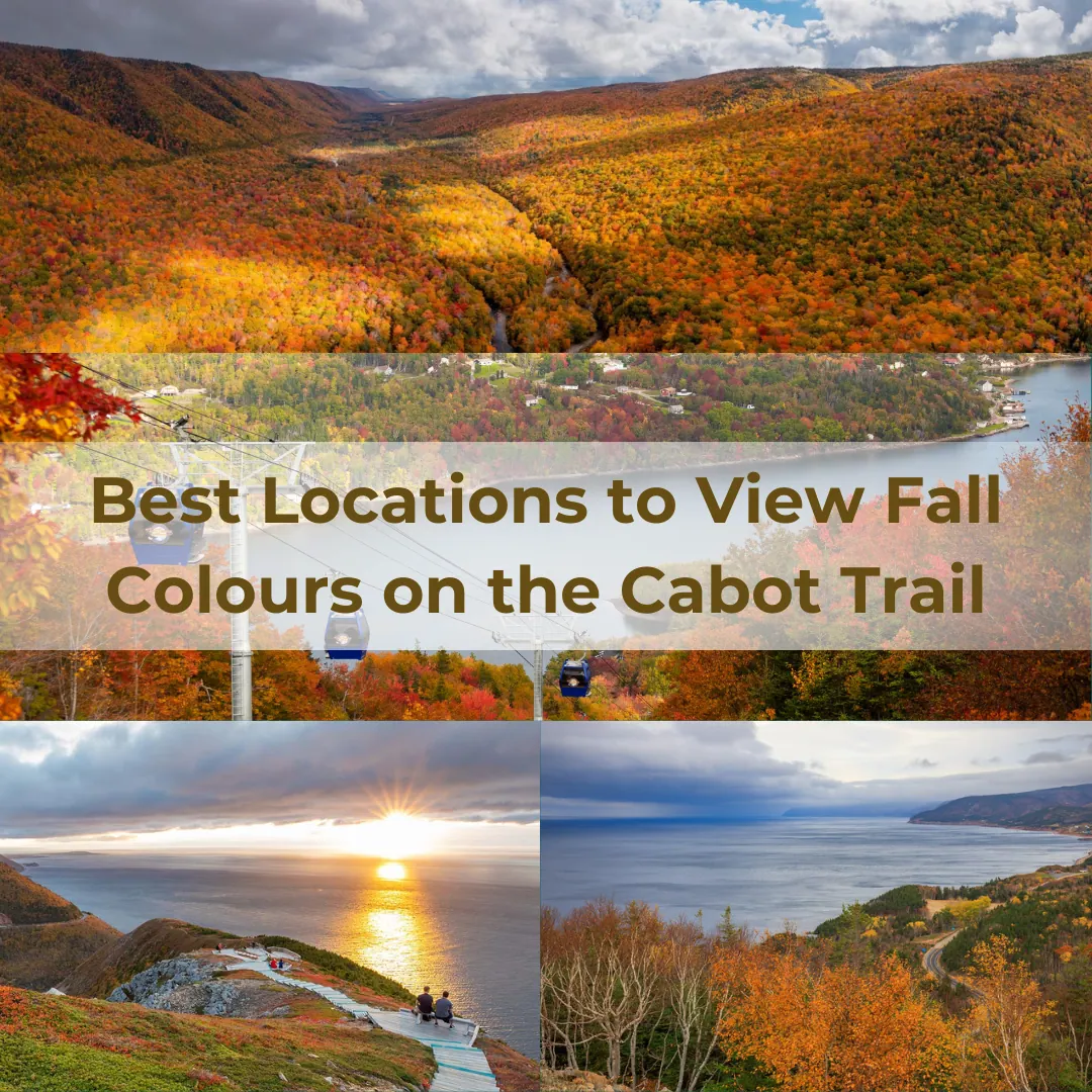 Best Locations to View Fall Colours on the Cabot Trail