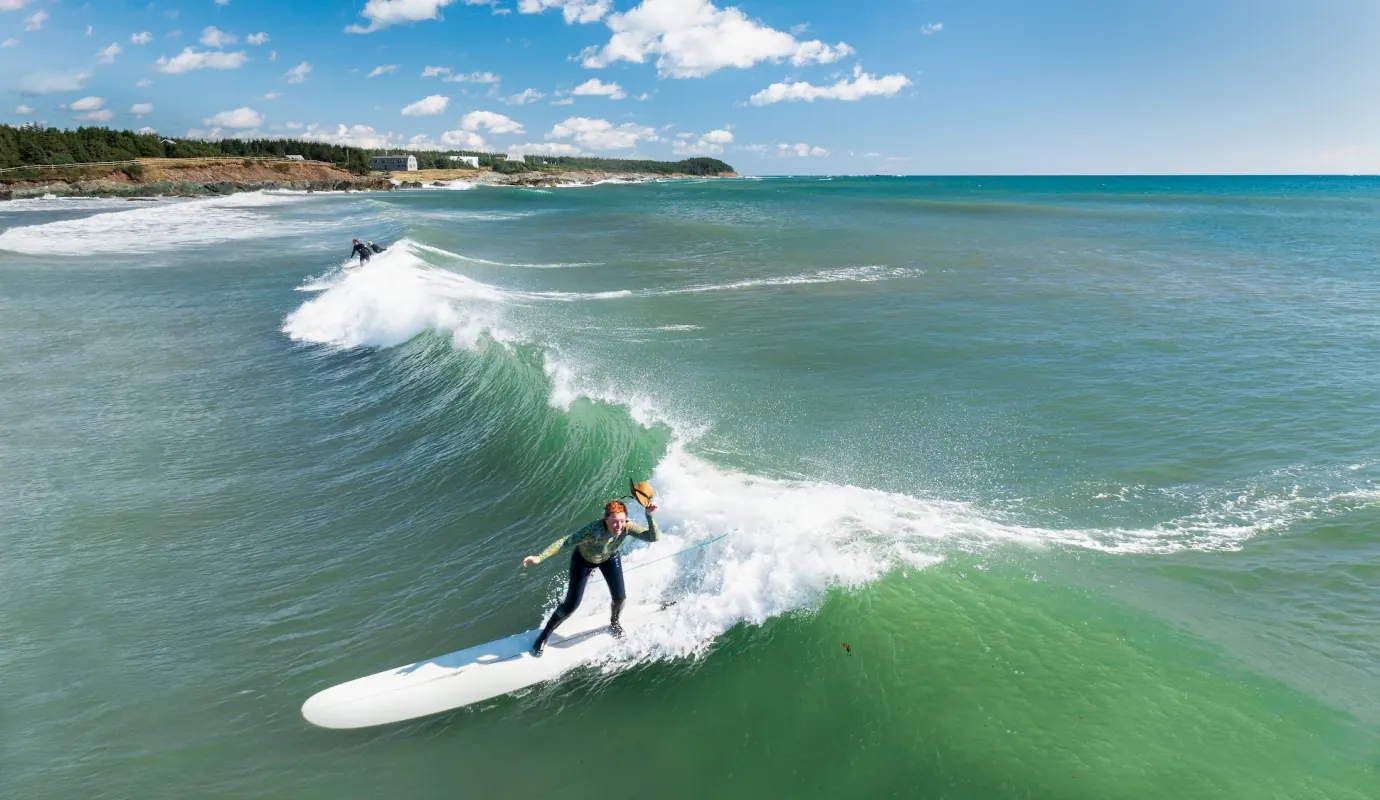 surf