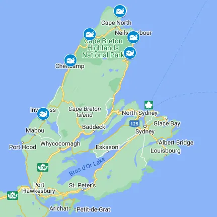 map for whale watching