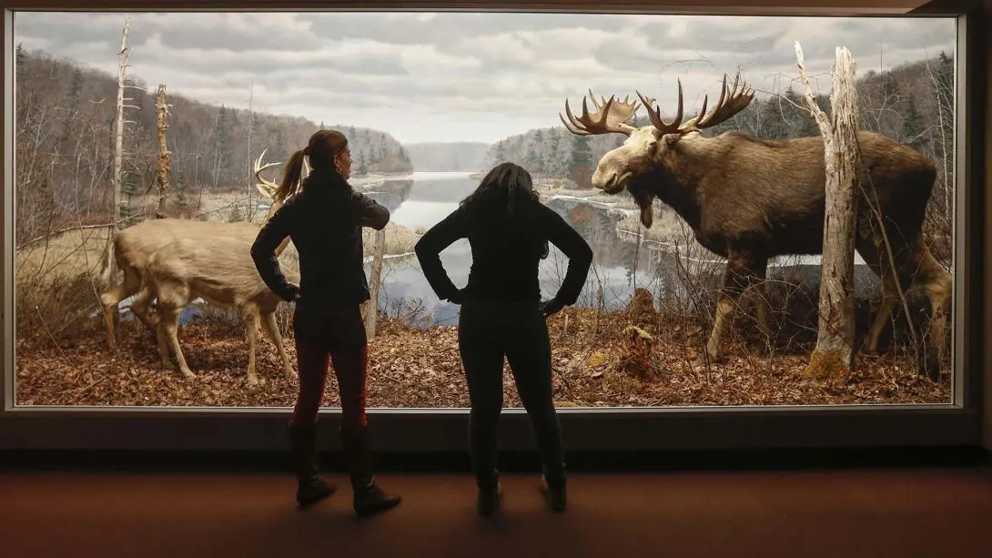 Dear Diary: The Great Atlantic Canadian Museum Drag - A Kid’s Tale