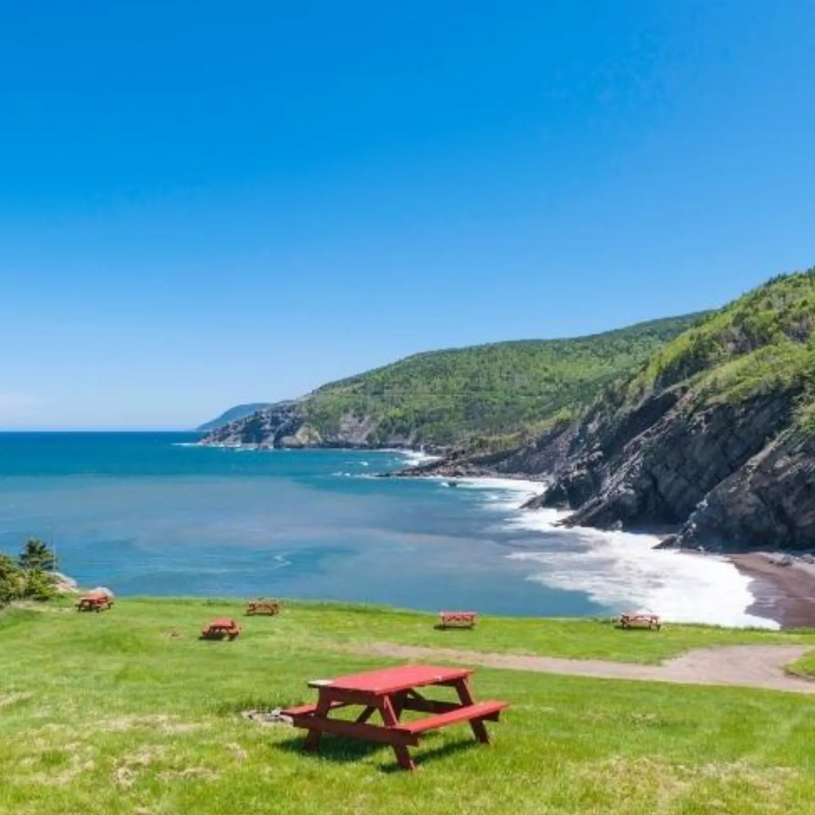 meat cove red table