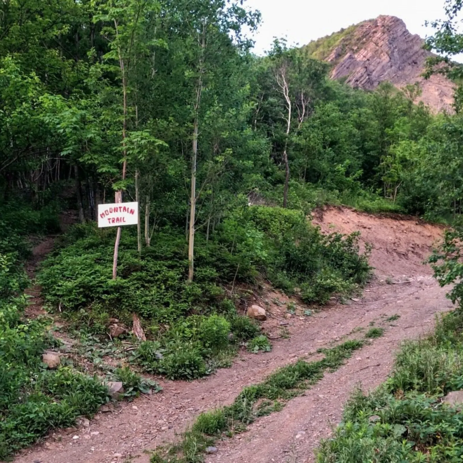 meat cove mountain trail
