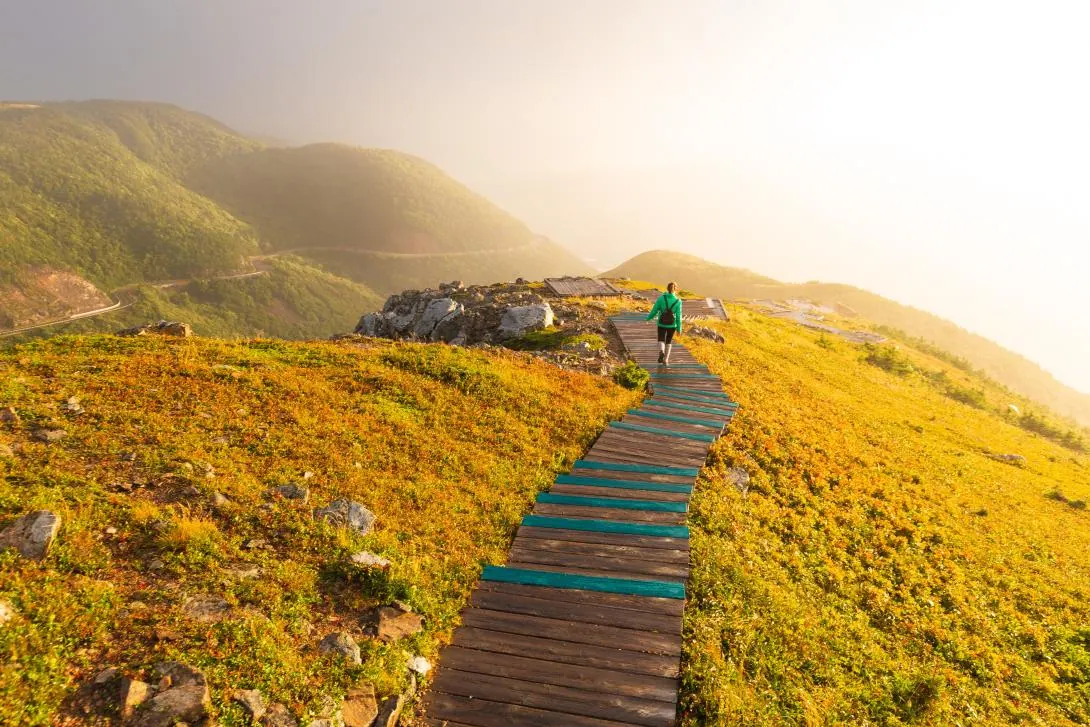 My First Time on the Skyline Trail: A Hiker’s Journey Through Cape Breton’s Most Iconic View