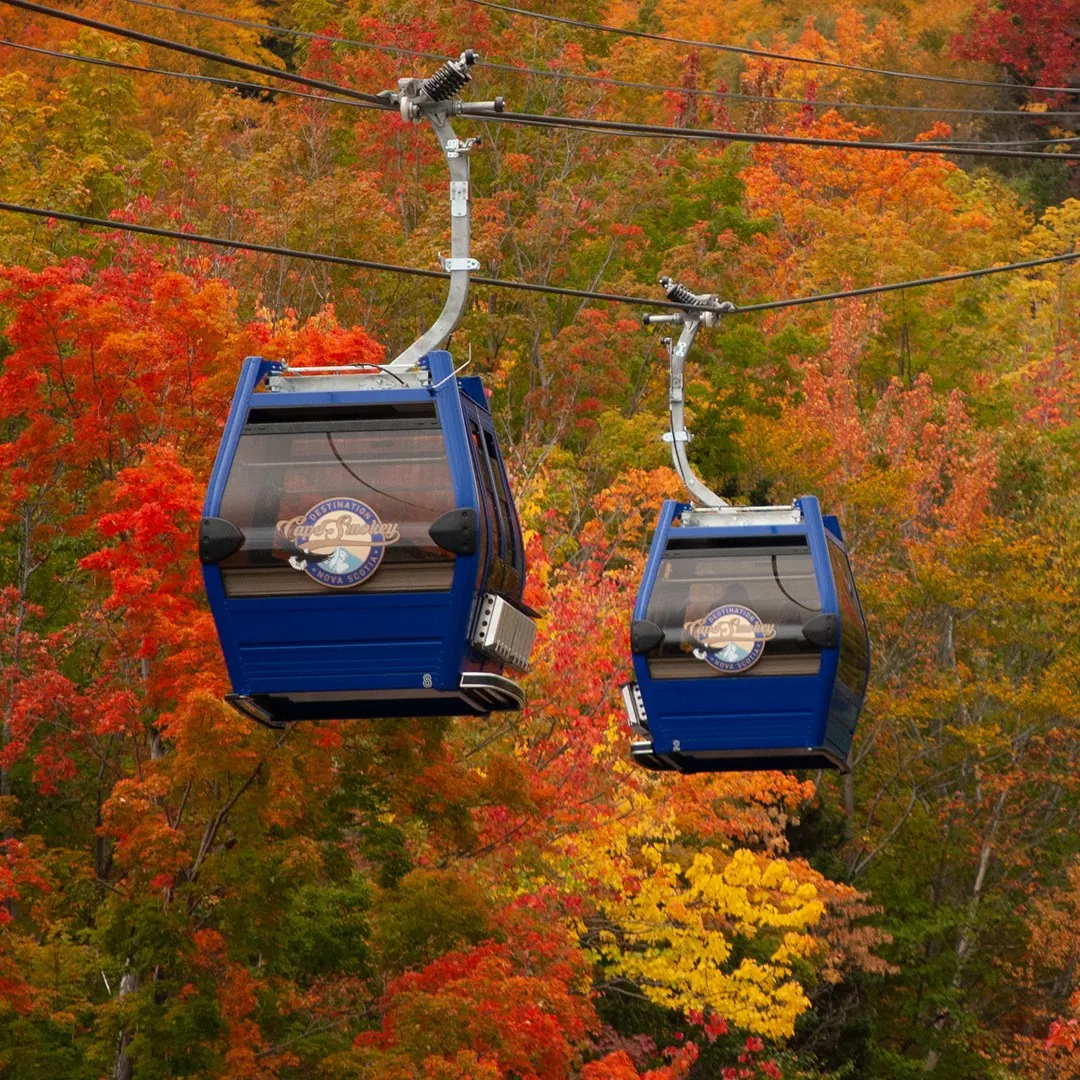 gondola