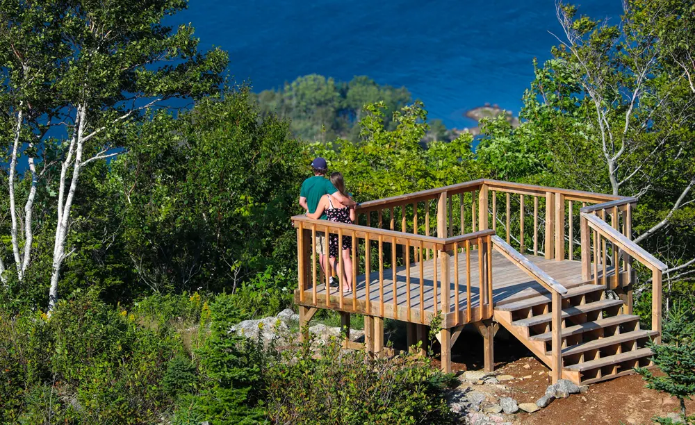Wooden lookout deck among birch trees above the blue ocean