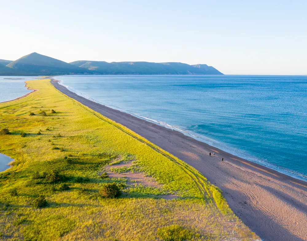 Aerial view of a long sandy beach between the ocean and green dunes