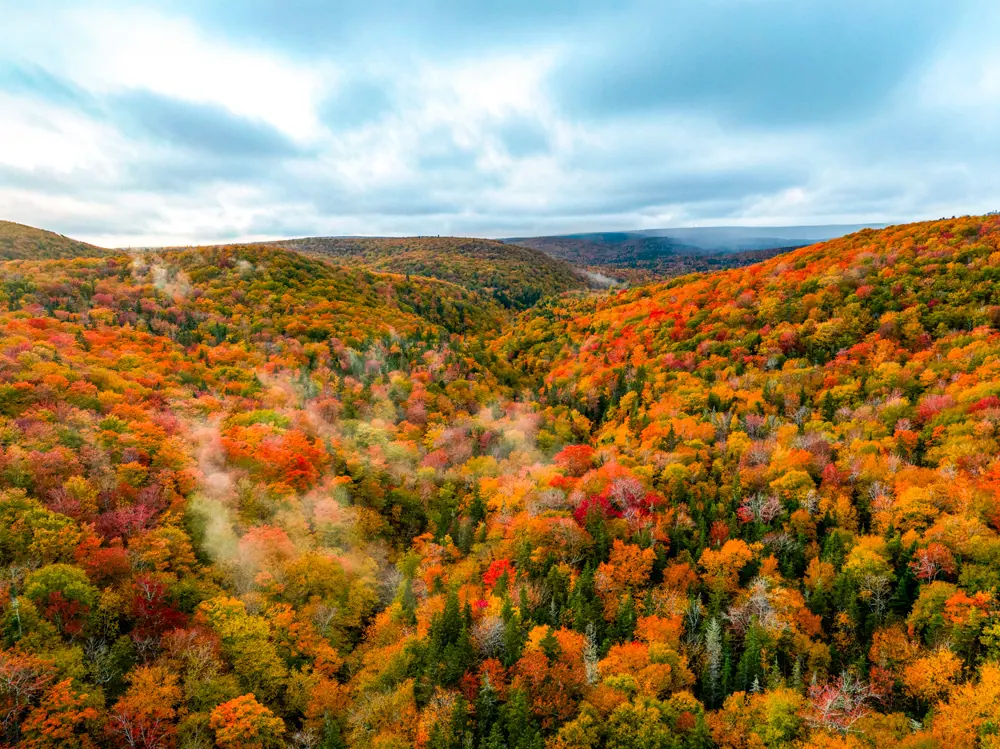 Highland valley blanketed in orange and red autumn forest with morning mist