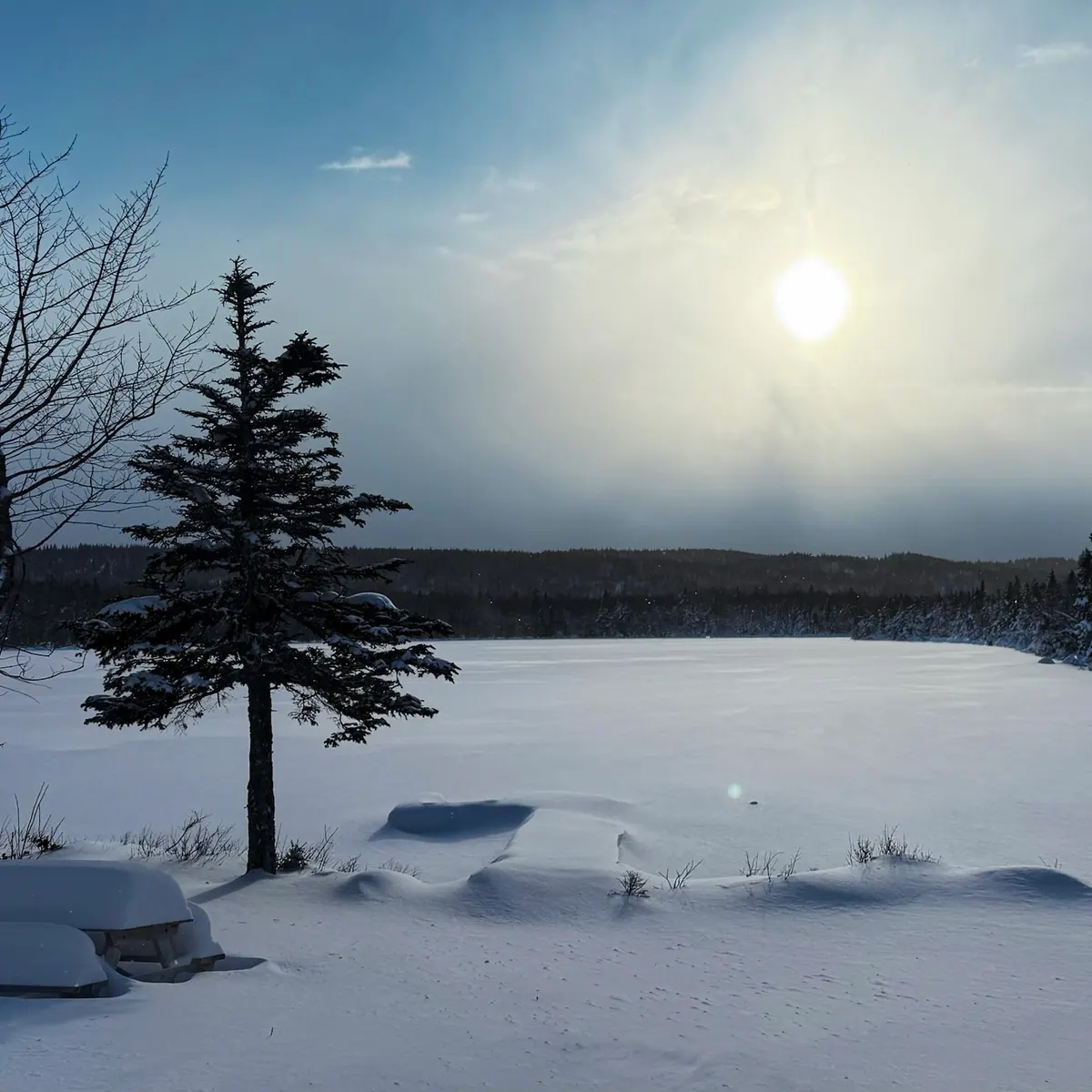 Frozen, snow-covered lake with a lone spruce tree under a hazy winter sun
